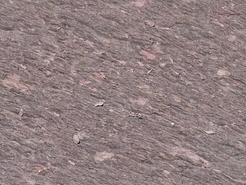 rock seamless 3d model