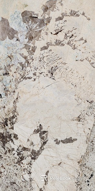 Pandora Marble Luxury Stone Rock Slab Large Slab Tile texture