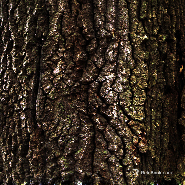 bark texture