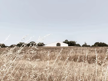 Wild Scenery texture (ID:ffajg03414)