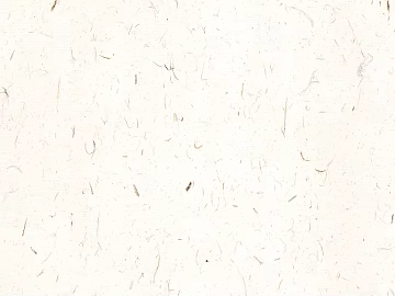 Mud texture (ID:ffaag72521)