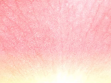Pink gradient figure skin texture (ID:ffaeh525701)