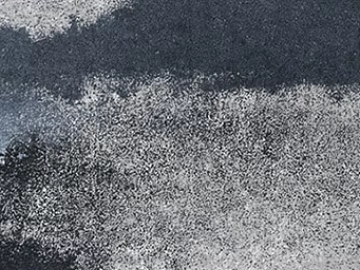 Coarse carpet 3d model