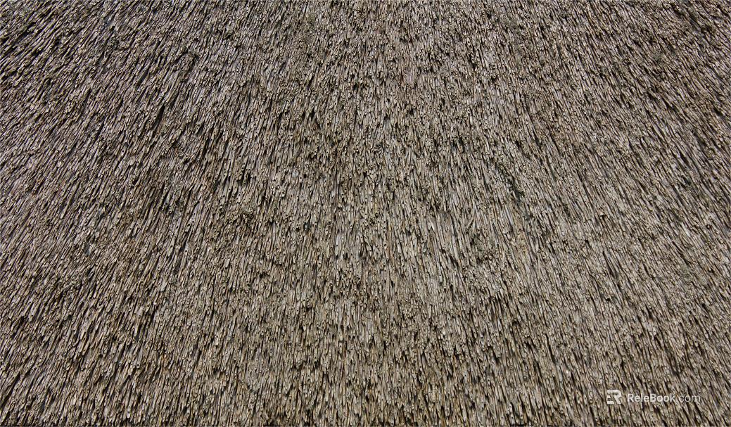 Thatched roof texture