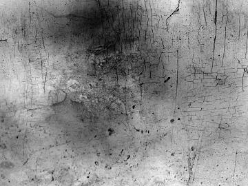 Cement bronze old black and white texture (ID:ffagg59768)