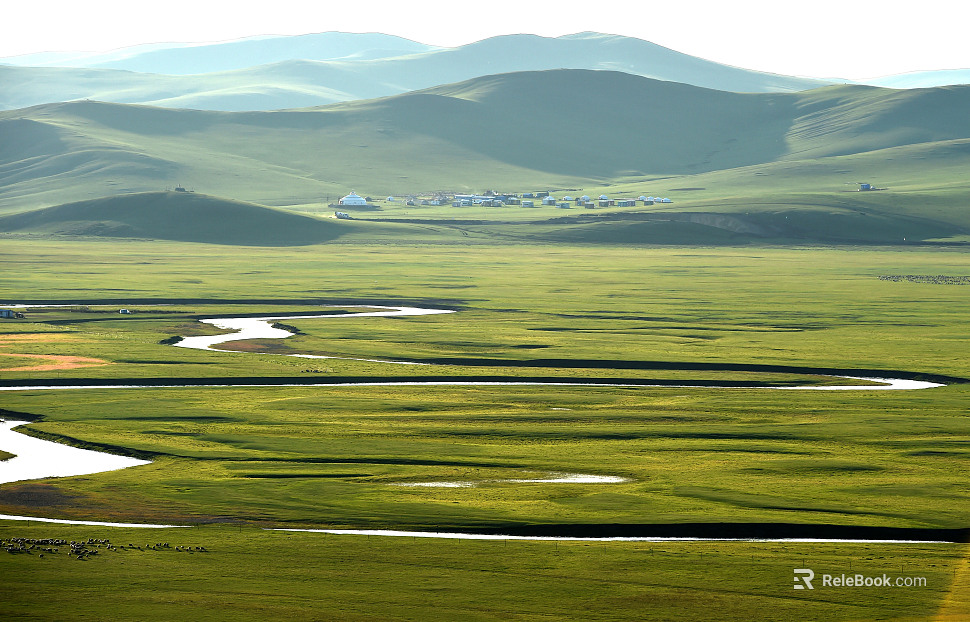 Wild Scenery texture