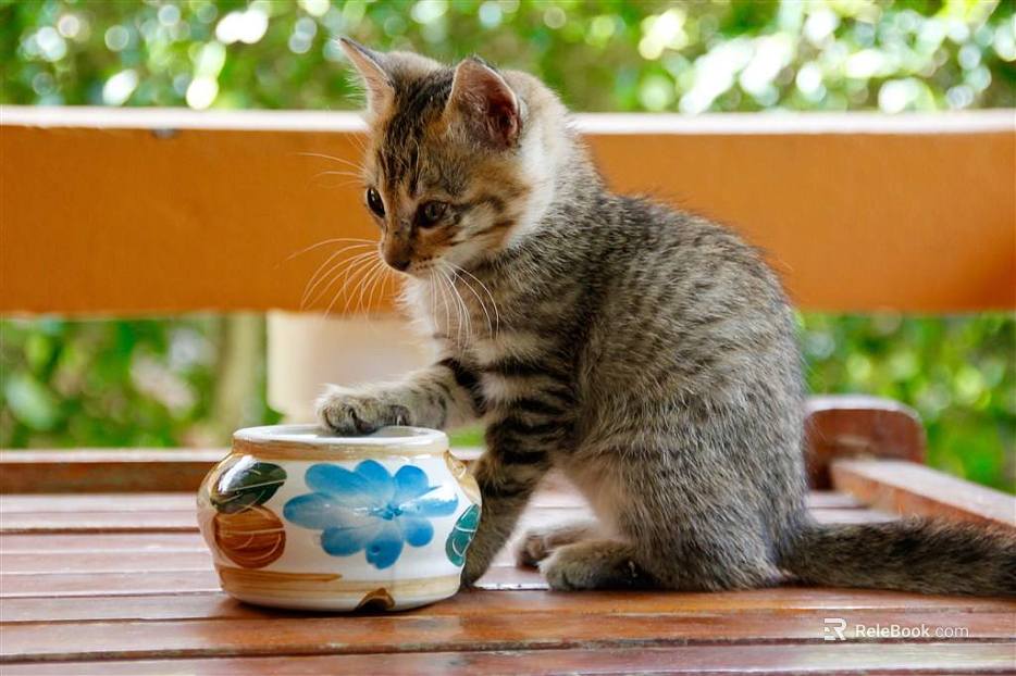 Animal painting texture