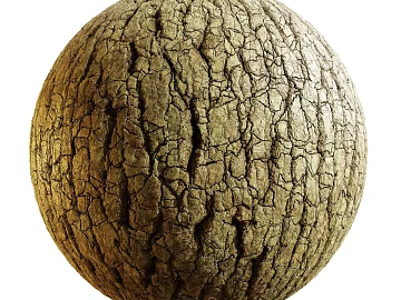 Bark PBR texture (ID:ffach566024)