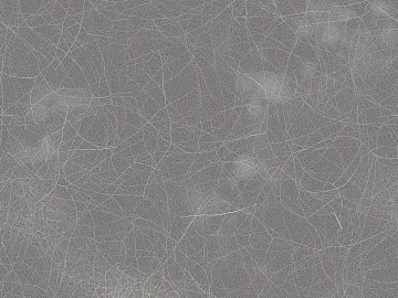 fine grain leather texture (ID:ffach628363)