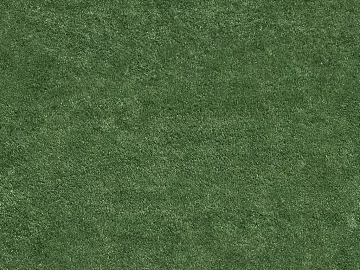 Turf 3d model