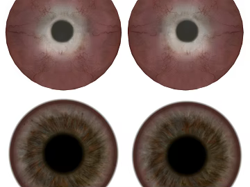 Eyes texture (ID:ffajg07444)