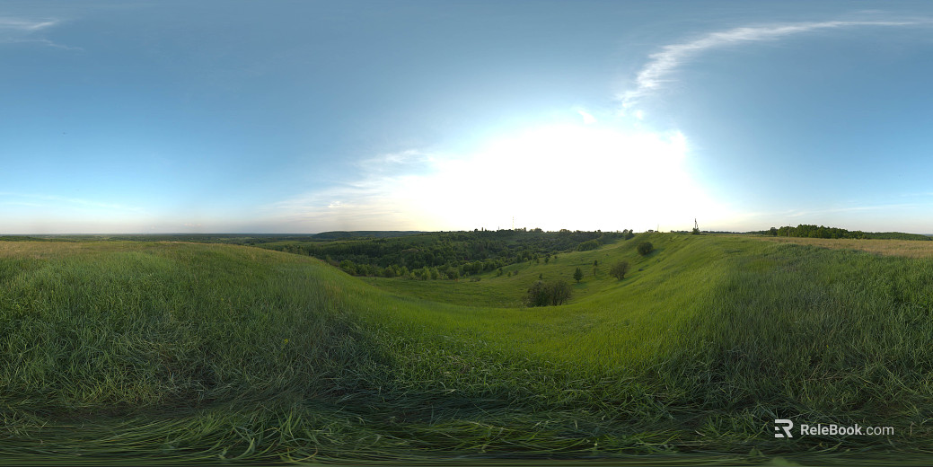 Outdoor Grass Day Sunny Day HDR texture