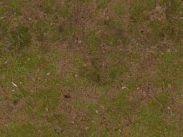 moss texture (ID:ffaif0549)