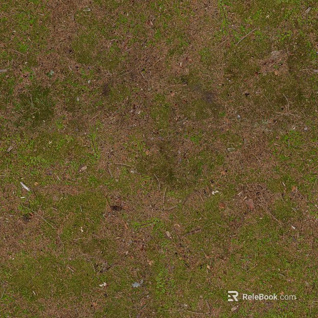 moss texture