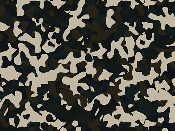 Camouflage texture (ID:ffajg22834)