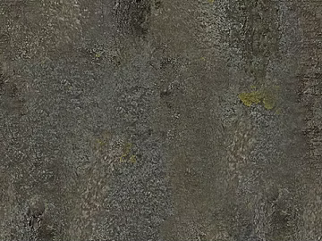 bark texture (ID:ffagg13606)