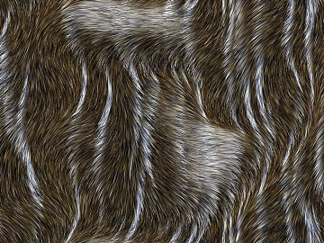 animal fur texture (ID:ffabg65500)