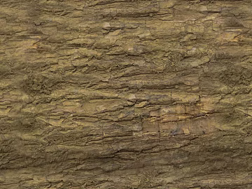 bark texture (ID:ffagg93240)