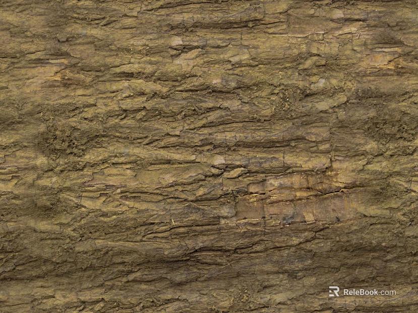 bark texture