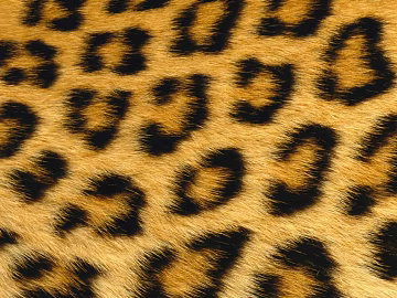 animal fur texture (ID:ffajg23509)