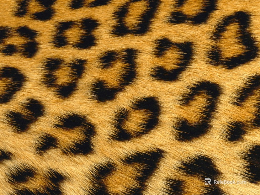 animal fur texture