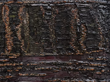 old wood texture (ID:ffagg18503)