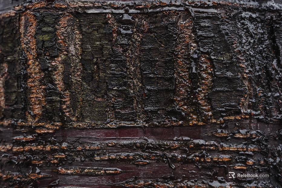 old wood texture