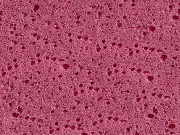 foam sponge texture (ID:ffaeh077347)