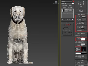 White Pet Dog Hair Material Map texture (ID:ffaeh597556)