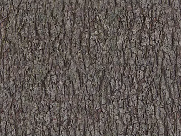 bark texture (ID:ffaef5815)
