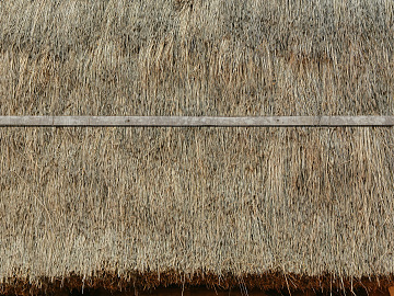 Thatch texture (ID:ffaeg00498)