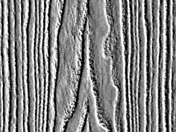 Black and White Bump texture (ID:ffacg02701)