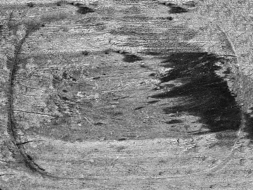 Black and White Bump texture (ID:ffach487936)