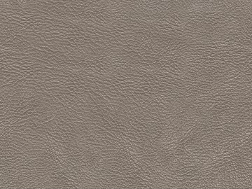 Coarse-grain leather 3d model