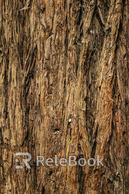 bark texture