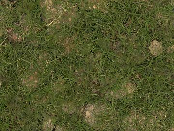 Turf texture (ID:ffach019391)