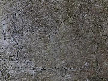Cement floor texture (ID:ffagg40986)