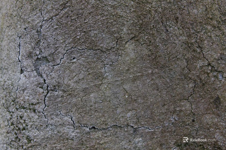 Cement floor texture