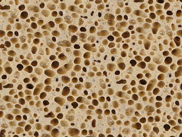 foam sponge texture (ID:ffaeh667347)