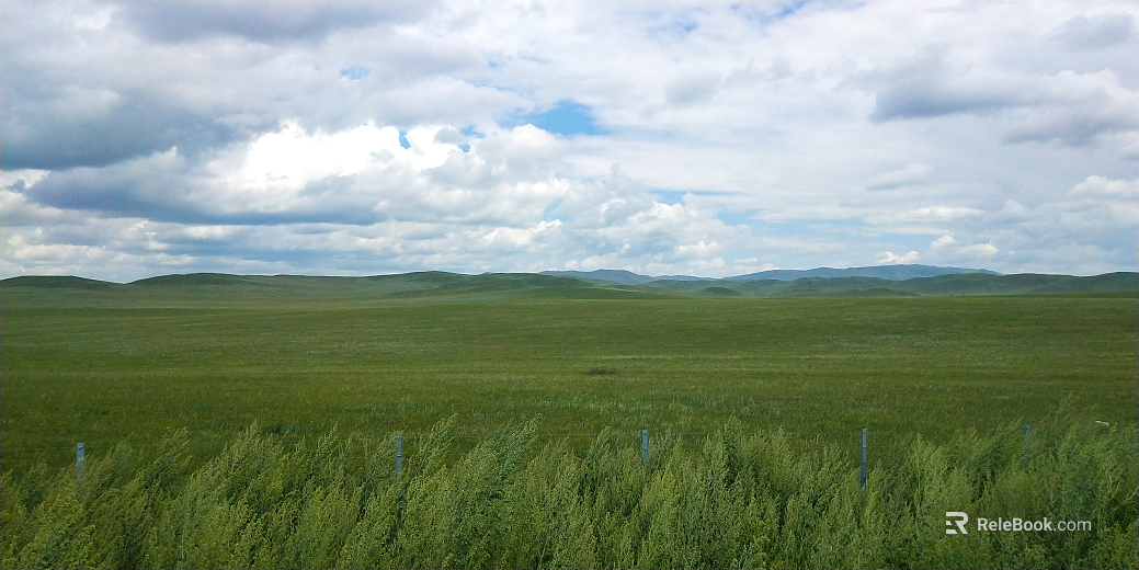 Wild Scenery texture