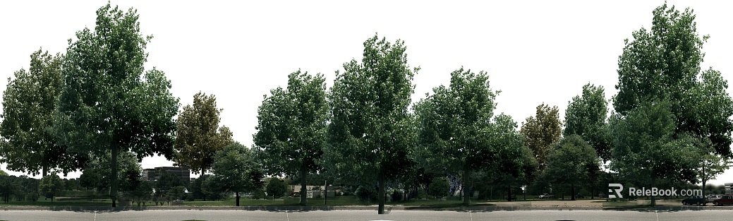 Park Exterior texture