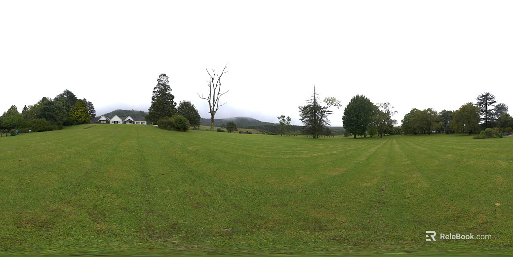 Outdoor grass day cloudy HDR texture