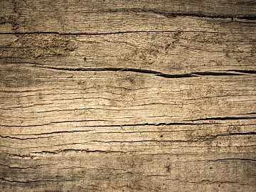 Wood grain texture (ID:ffaeg75557)