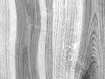 Black and White Bump texture (ID:ffabg12810)