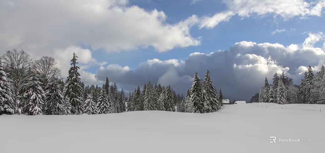 Snow Forest Snow Cottage Blue Sky Clouds Snow Outdoor Exterior texture