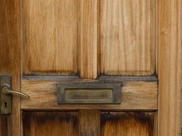 Wooden door texture (ID:ffagg29271)