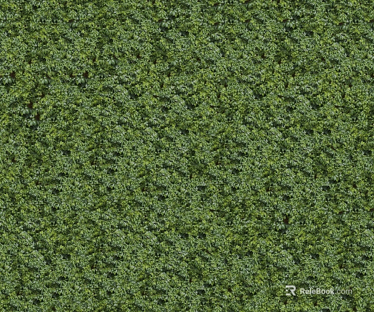 ground grass lawn turf plants sand texture