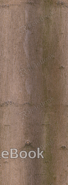 bark texture