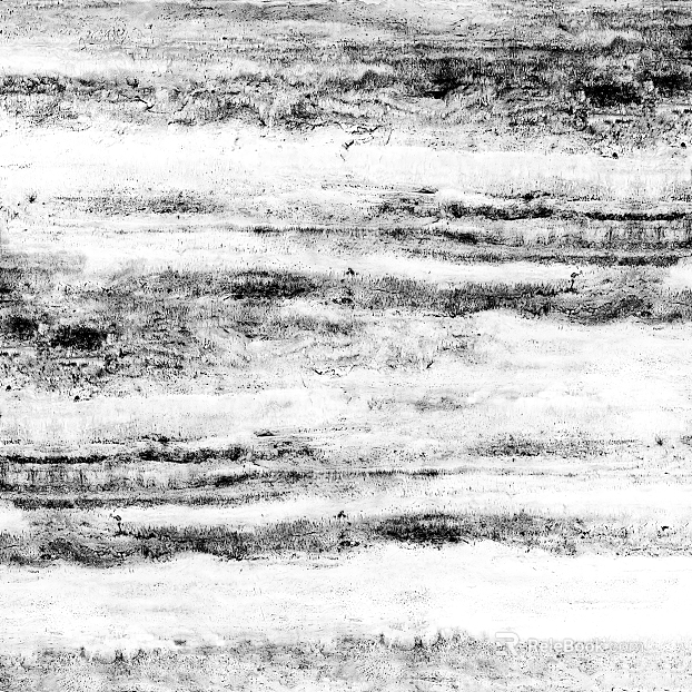 Black and white aged wood wall decoration texture