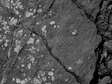 mountain rock wall texture (ID:ffaeg98177)